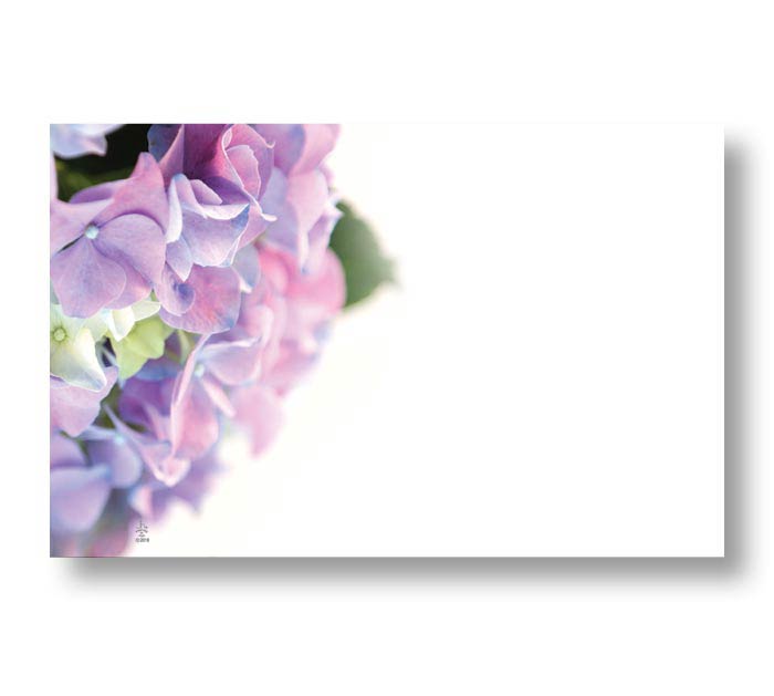 Hydrangea Spring Floral Enclosure Cards