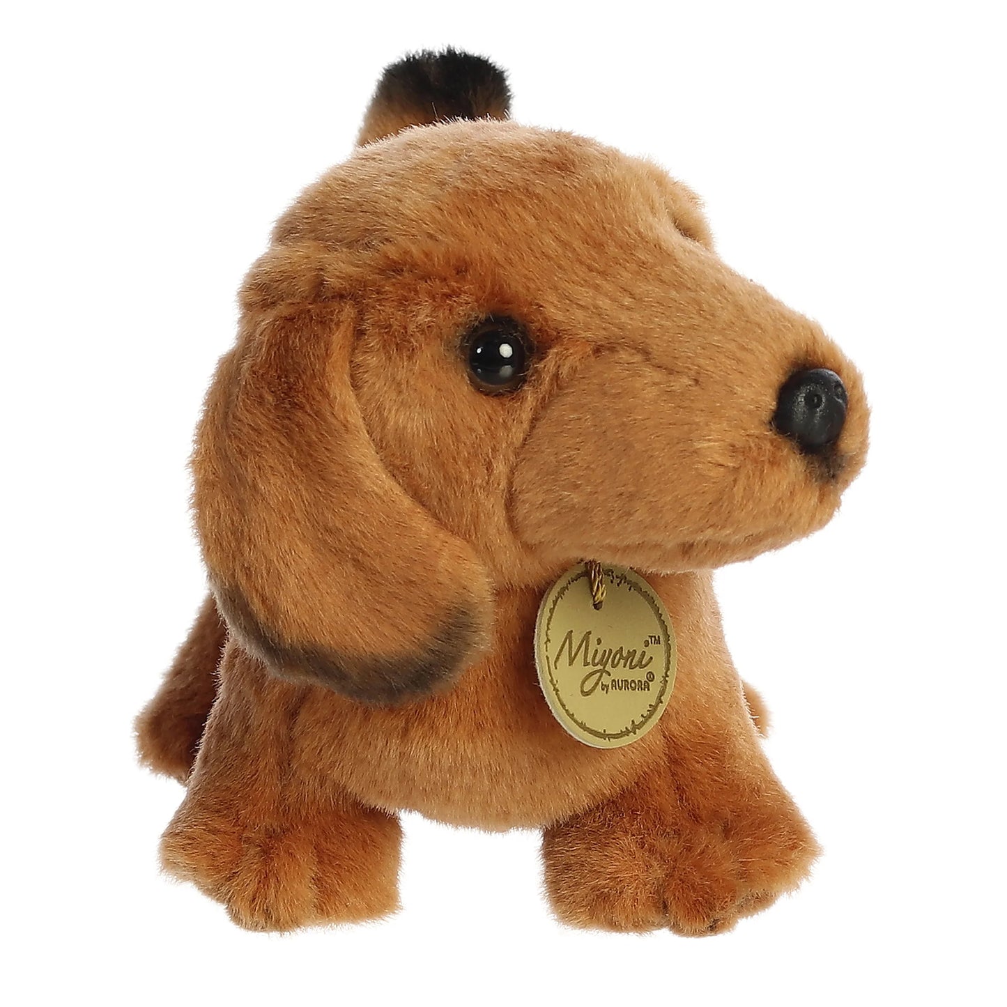 Miyoni - 8" Dachshund
