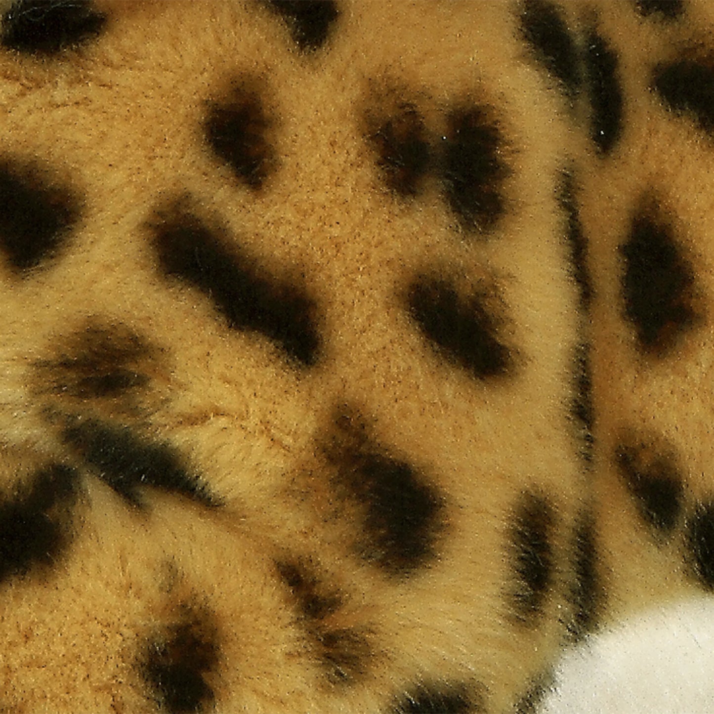 17'' Cheetah