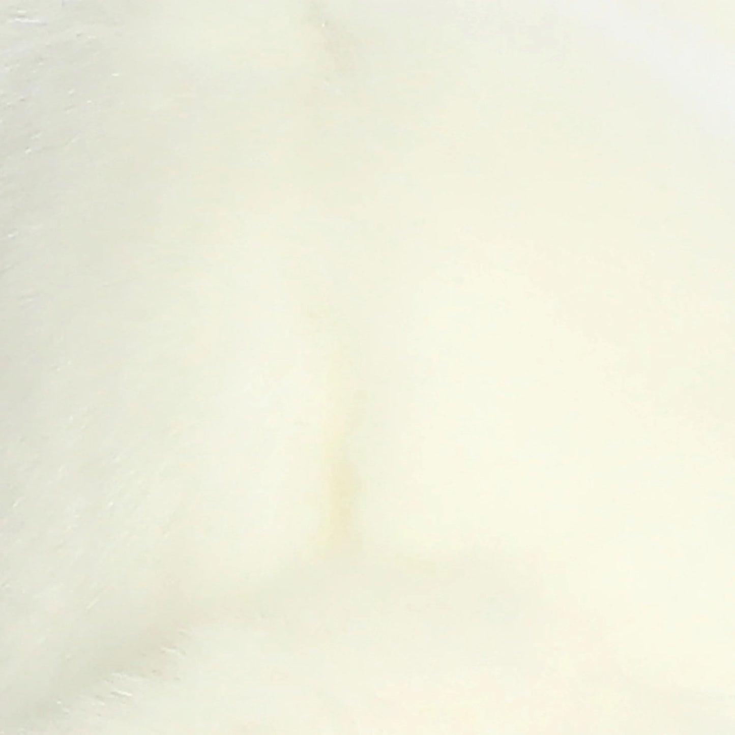 Miyoni - 8'' American White Rabbit