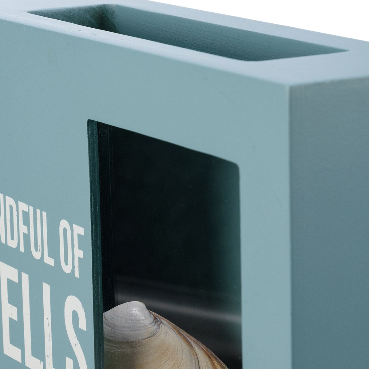 A Handful Of Shells And Memories Shell Holder