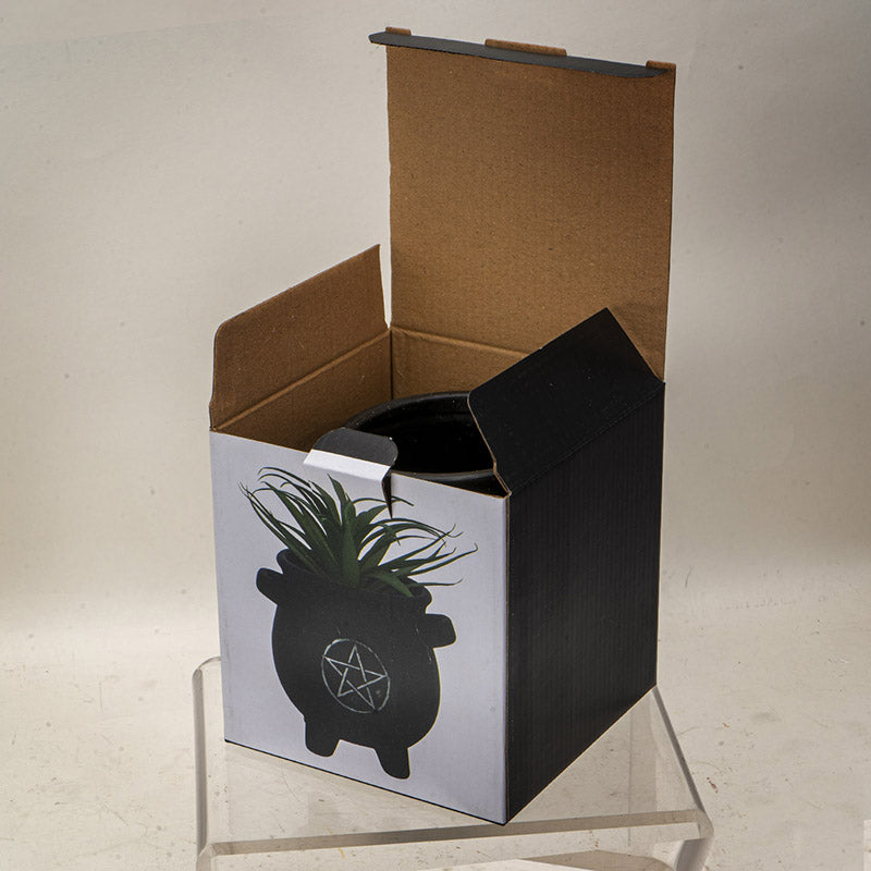 Pentagram Couldron Plant Pot