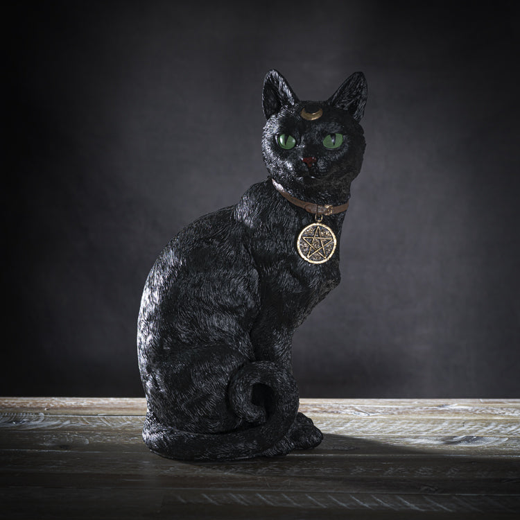 Black Cat