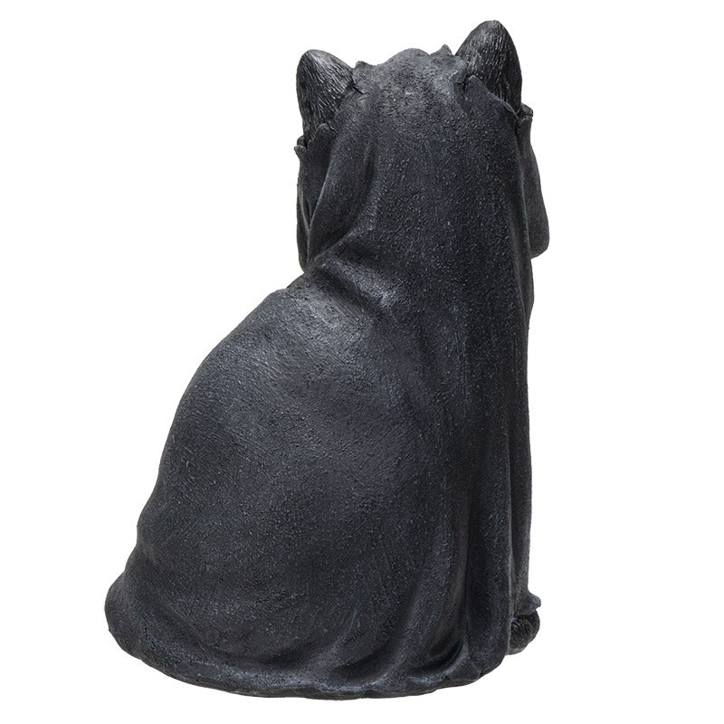 Black Cloak Cat