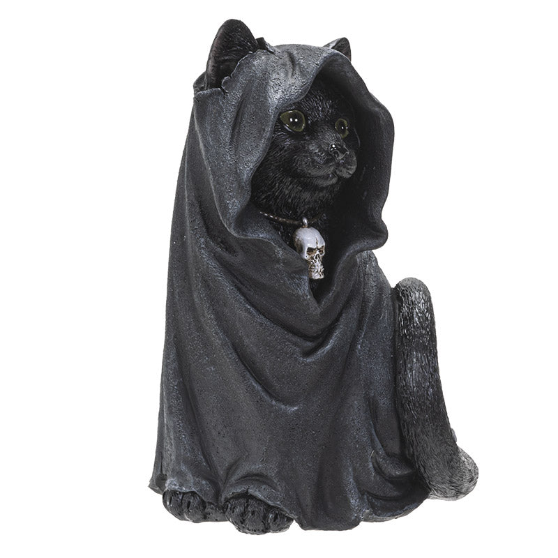 Black Cloak Cat