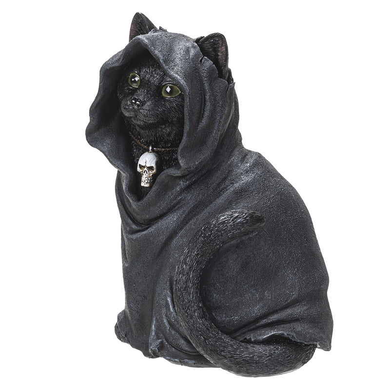 Black Cloak Cat