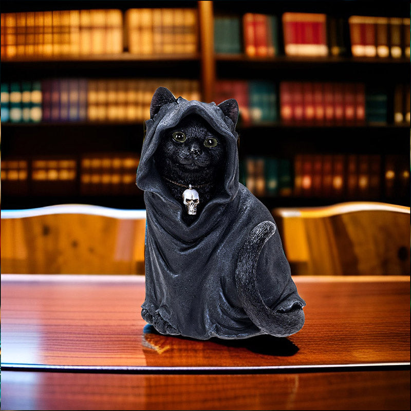 Black Cloak Cat