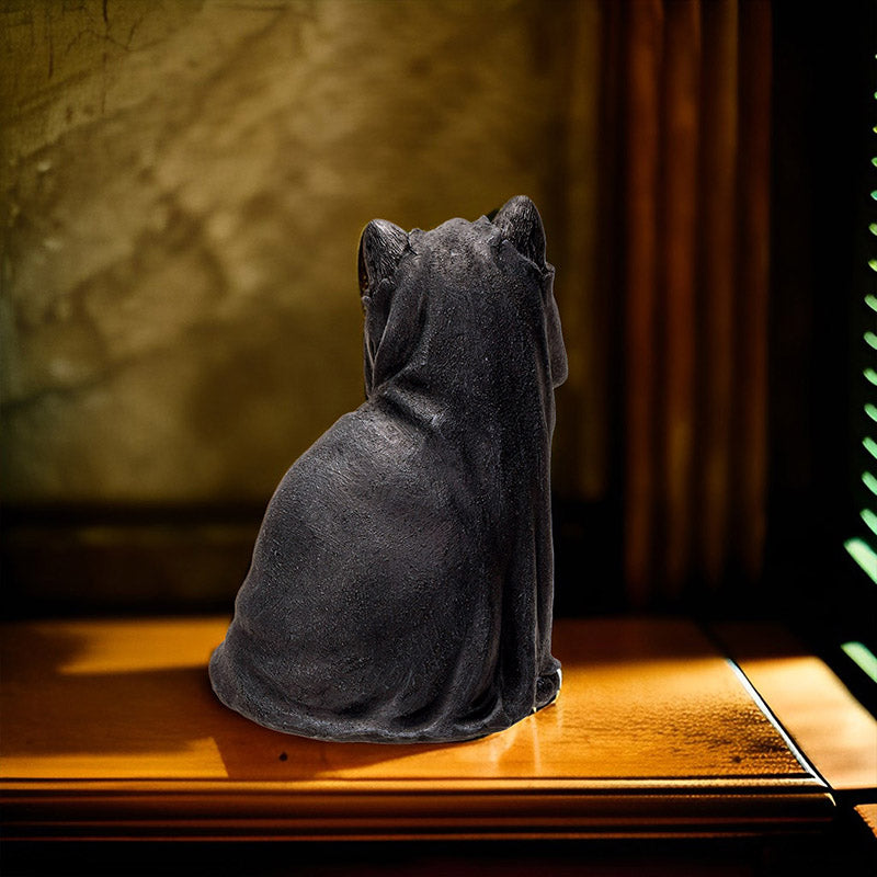 Black Cloak Cat