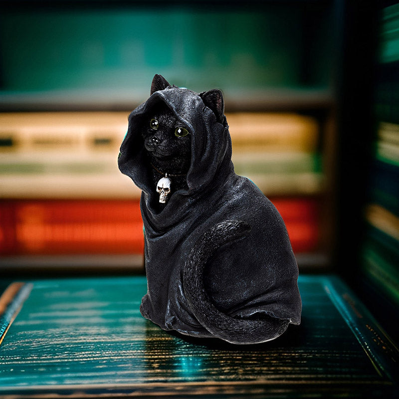 Black Cloak Cat