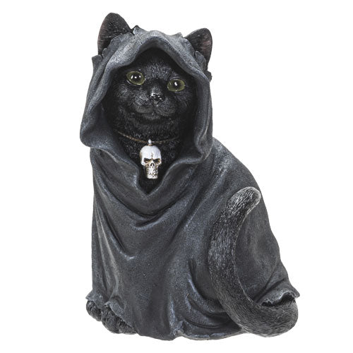 Black Cloak Cat