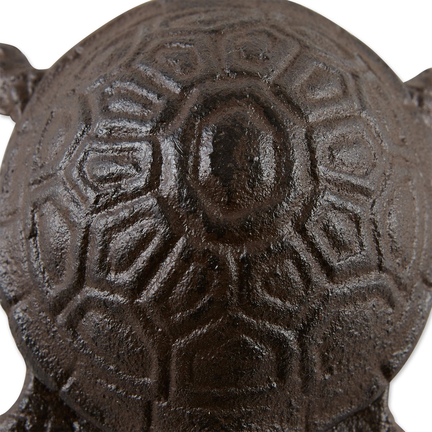 TURTLE KEY HIDER