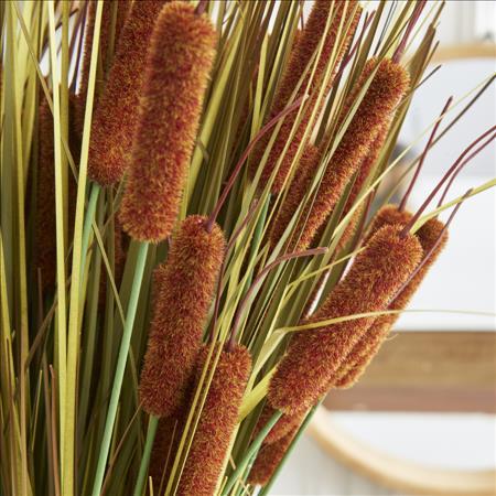 25 Inch Light Brown 5 Head Cattail Stem