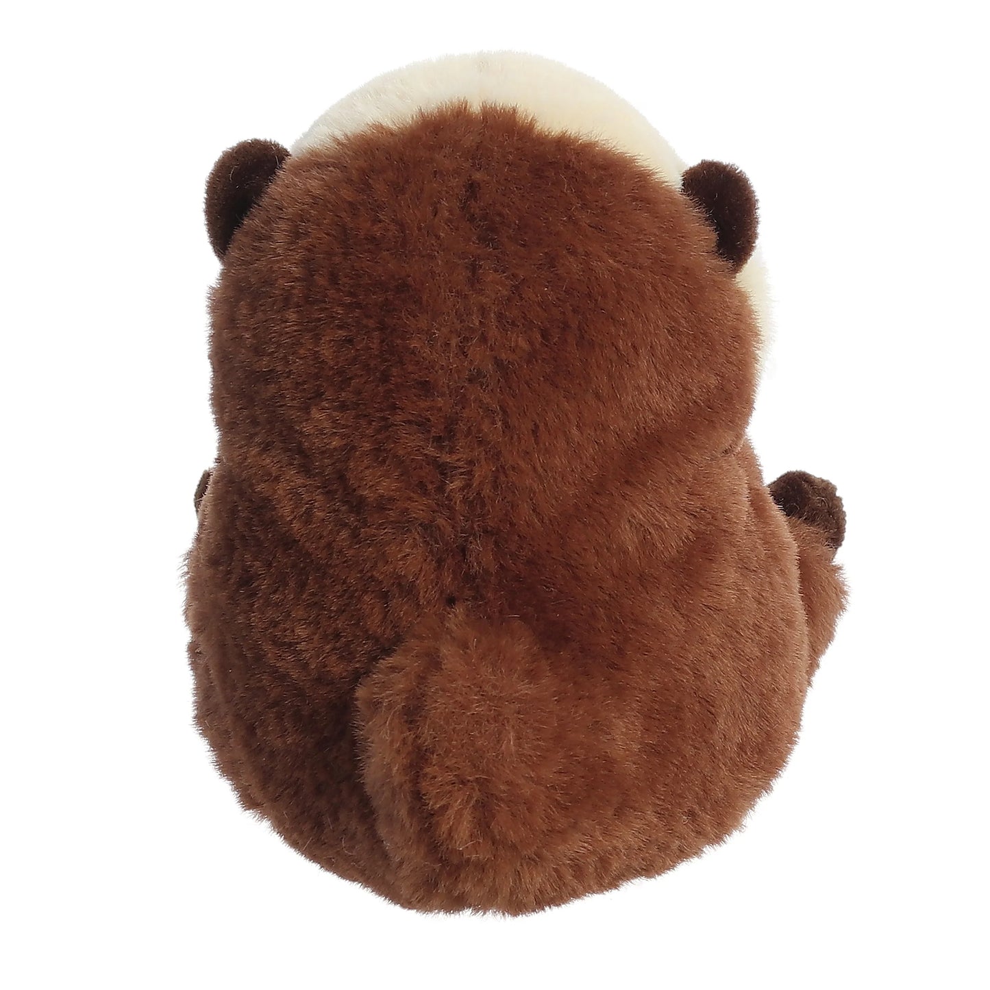 Rolly Pet - 5" Smiles Sea Otter