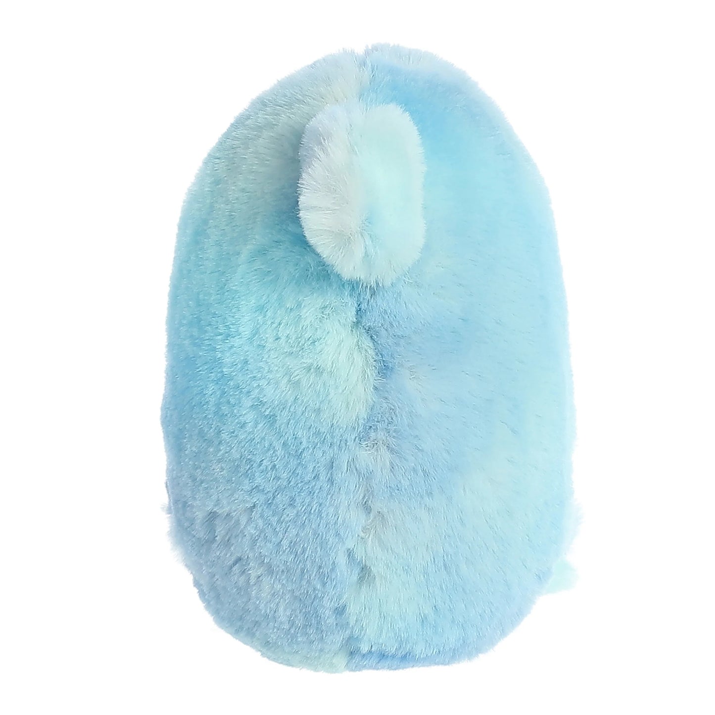Rolly Pet - 5" Sutton Shark