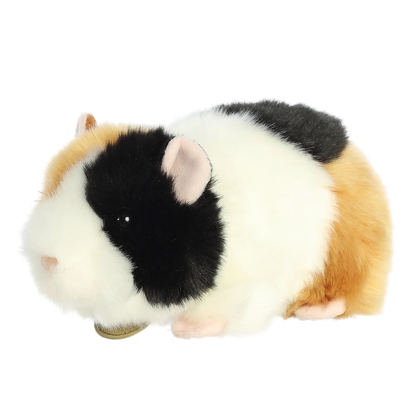 Miyoni - 7.5" American Guinea Pig