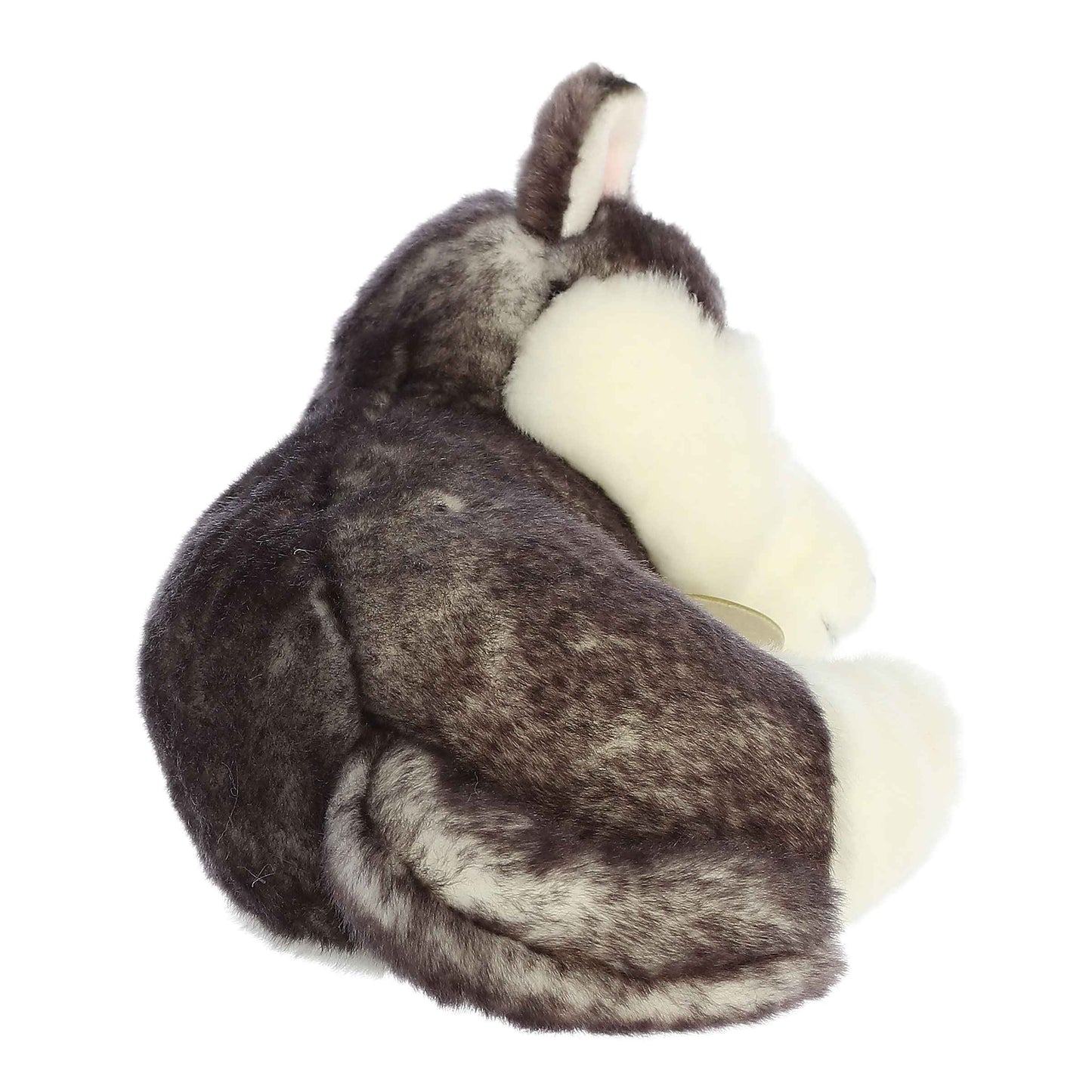 10" Sleepy Husky Pup