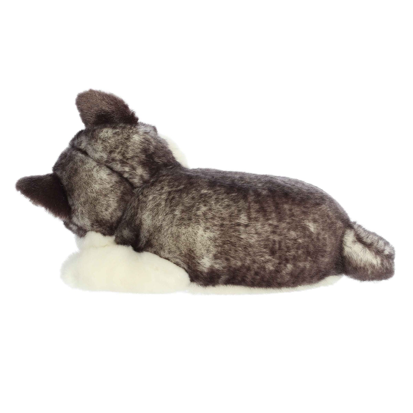10" Sleepy Husky Pup