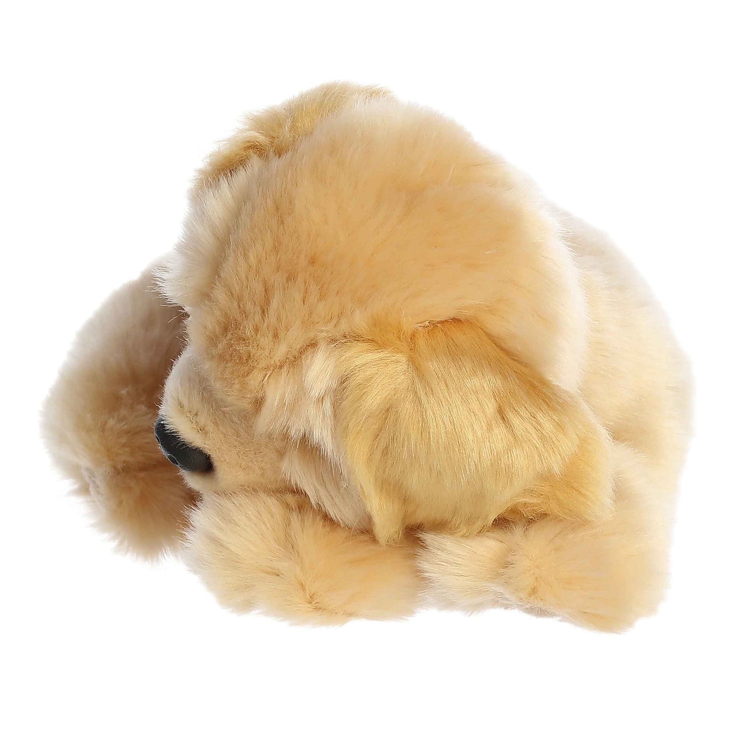 10" Sleepy Golden Retriever Pup