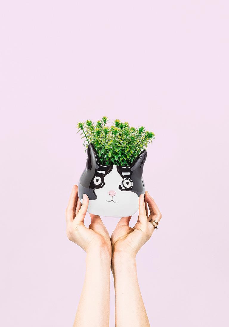 Large Cat Head Planter