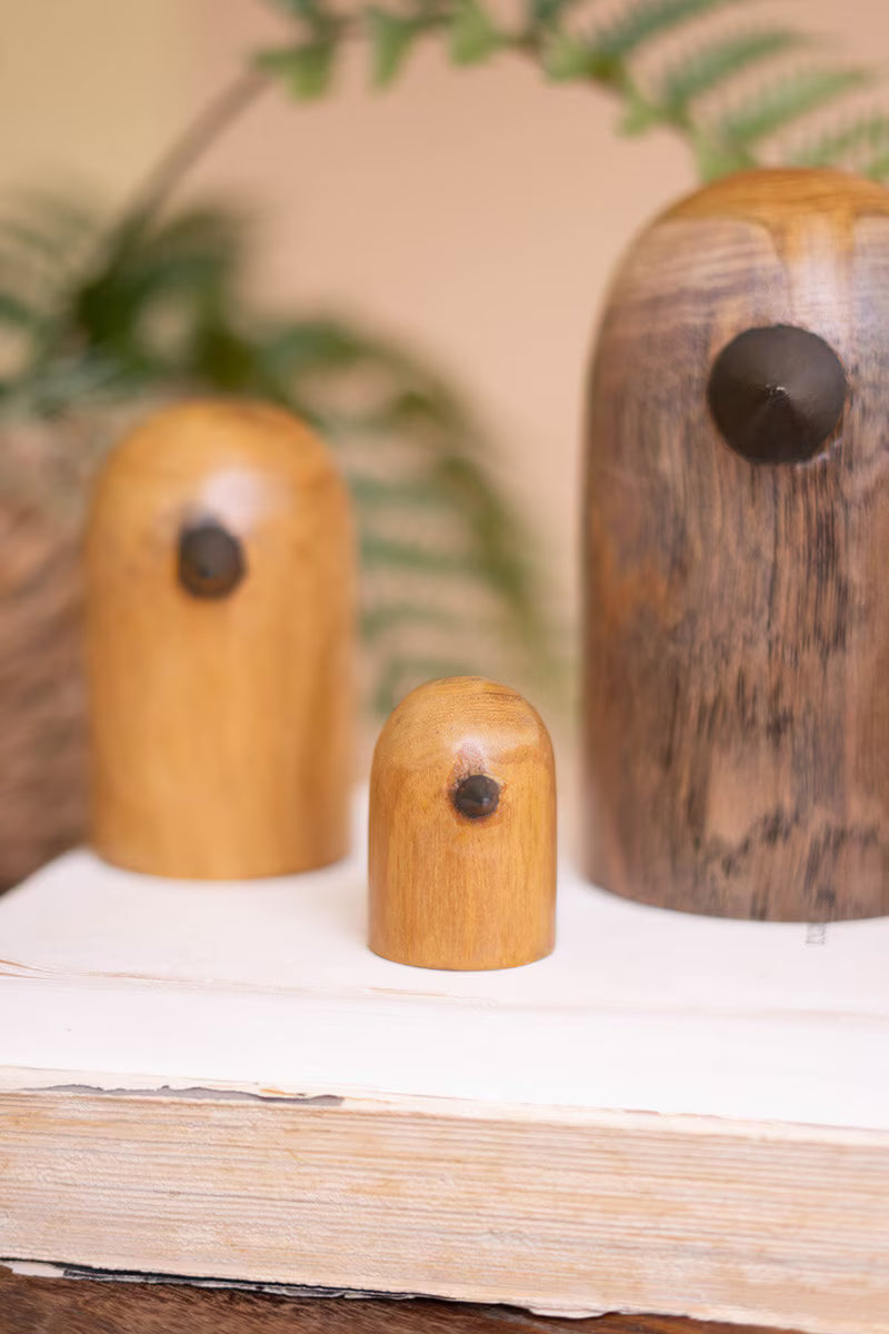 Set of 5 Teakwood Bird Sculptures