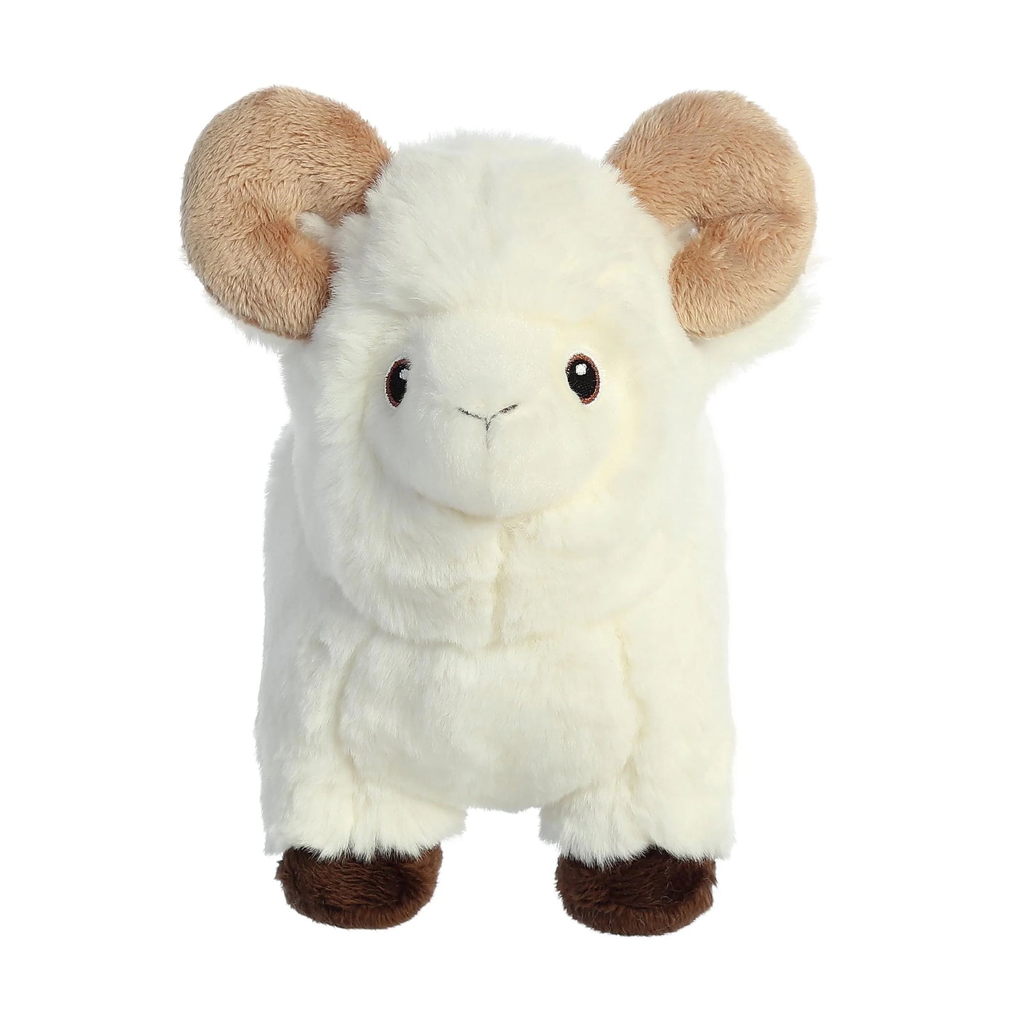 Eco Nation - 8" Ram