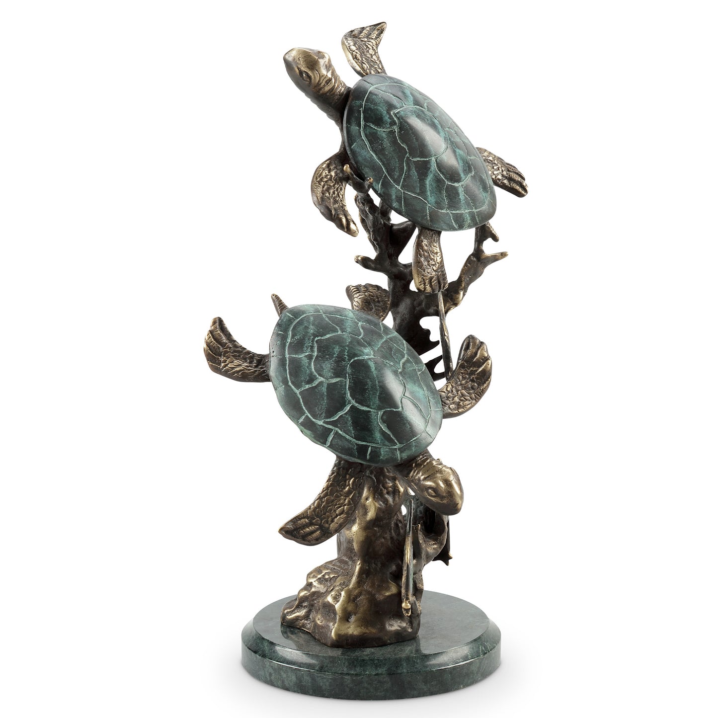 Sea Turtle Duet