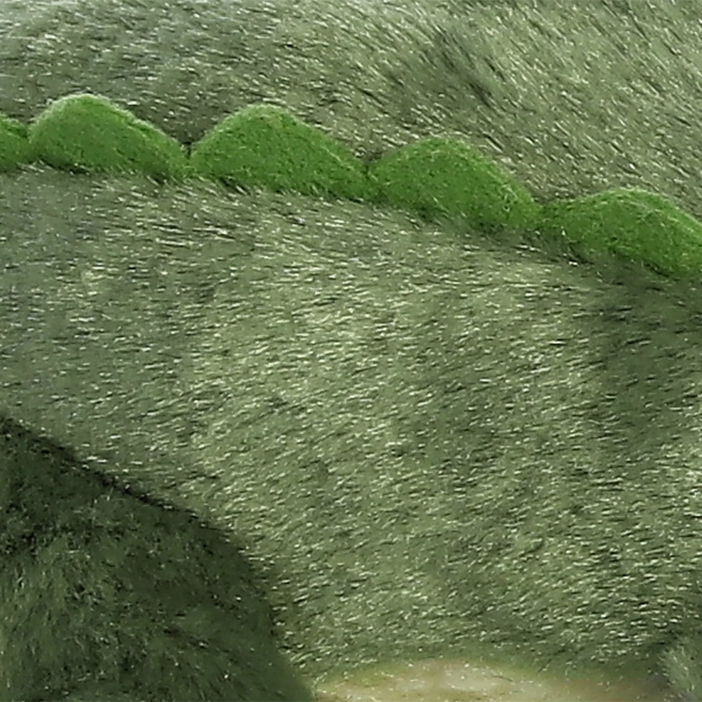 Mini Flopsie - 8" Swampy