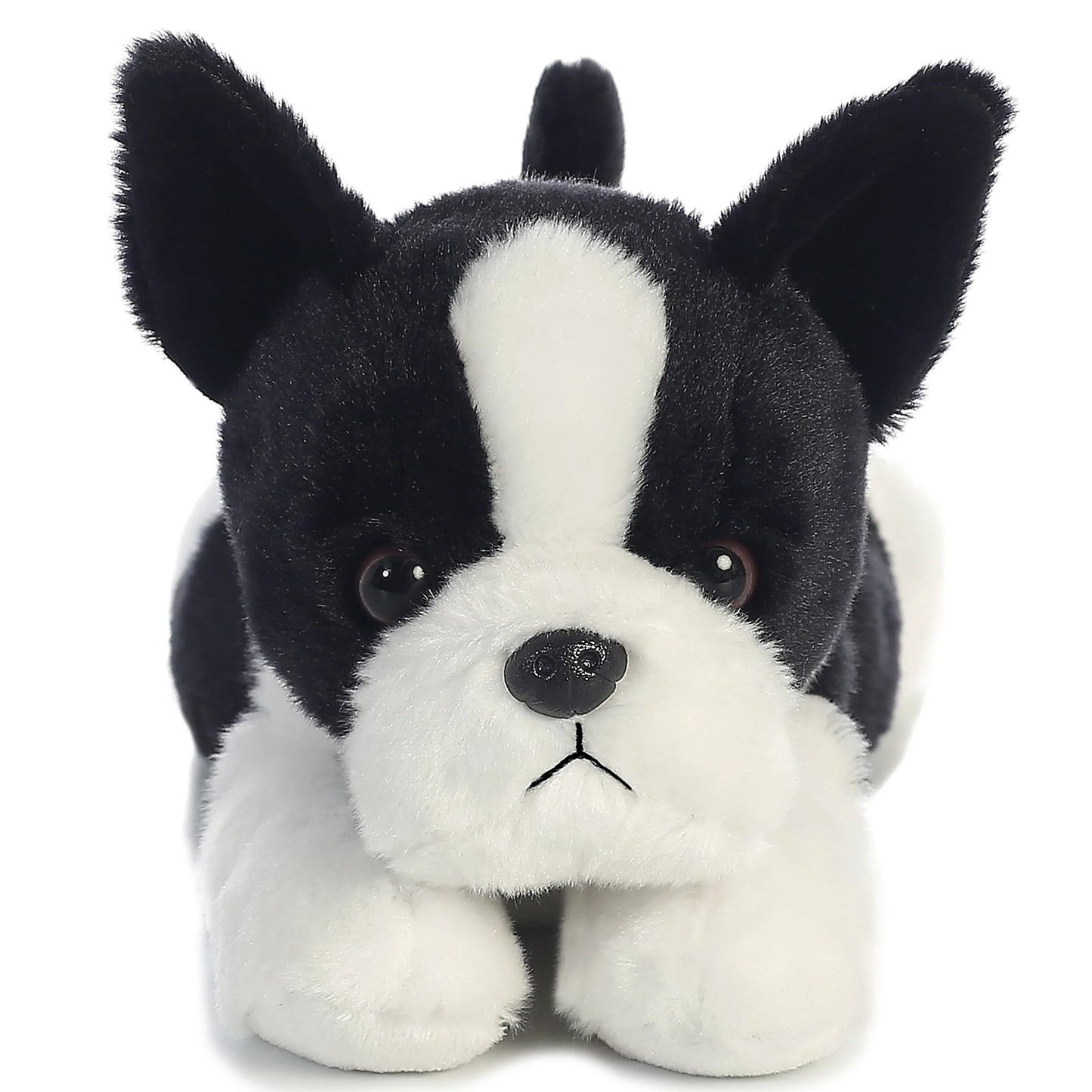 12" Buster Boston Terrier