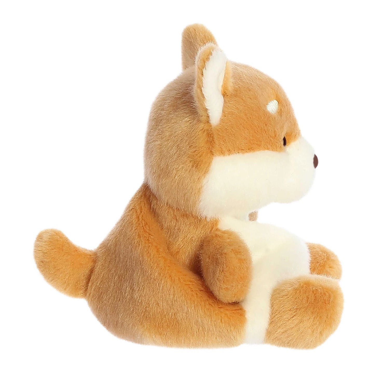 5''Keiko Shiba Inu