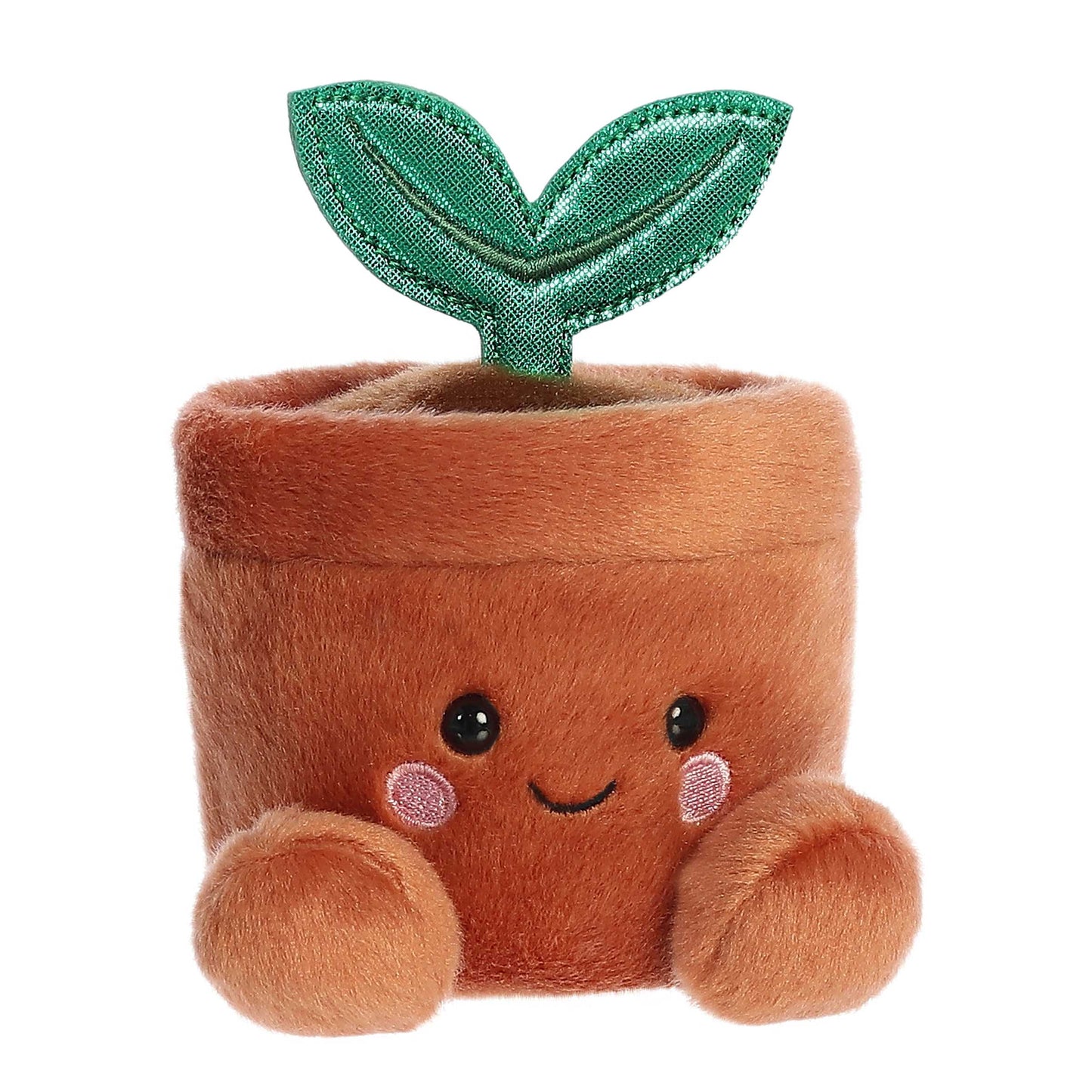 Palm Pals - 5" Terra Potted Plant