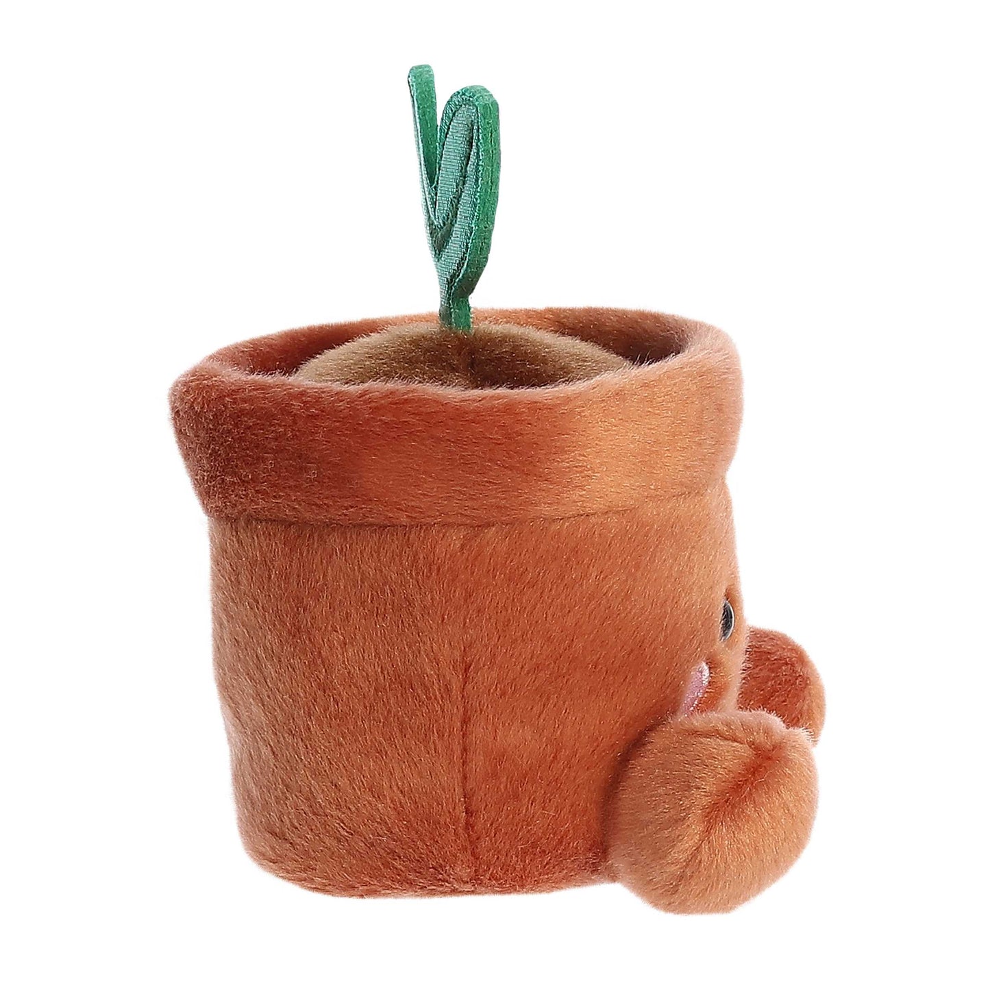 Palm Pals - 5" Terra Potted Plant