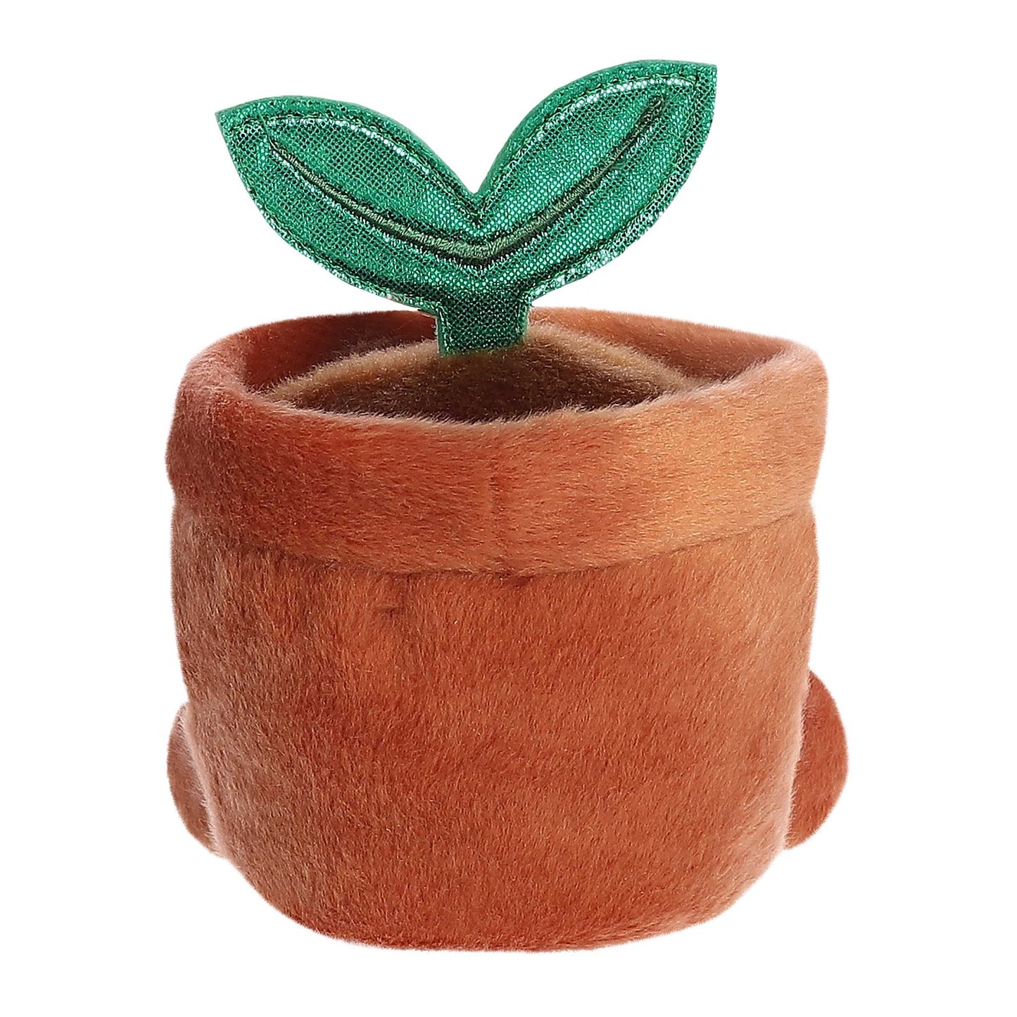 Palm Pals - 5" Terra Potted Plant