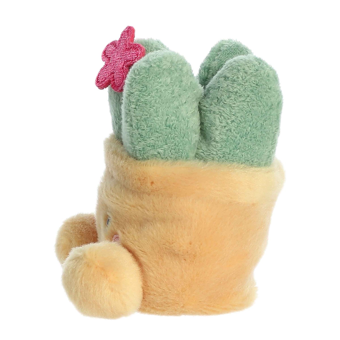 Palm Pals - 5" Seyla Succulent
