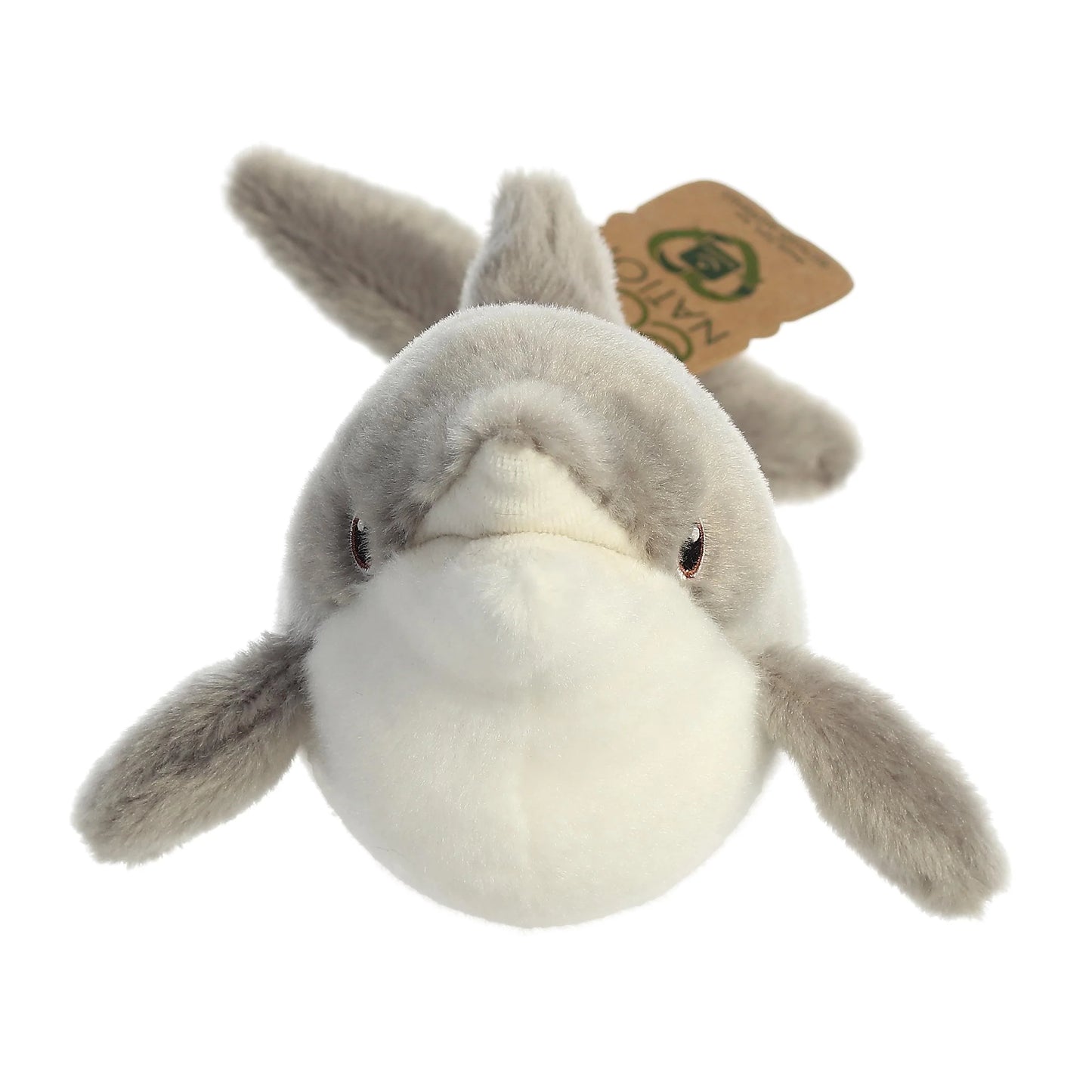 Eco Nation - 15" Dolphin