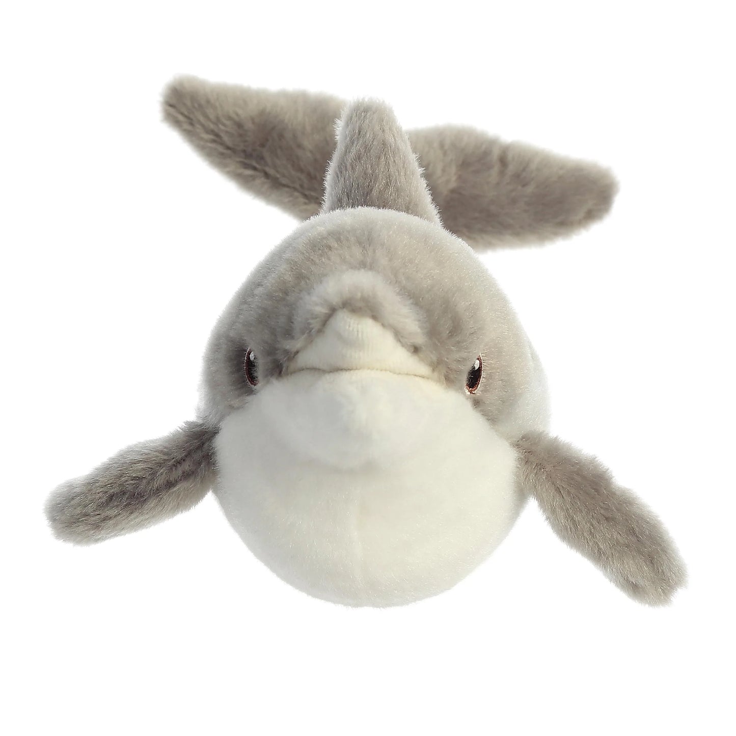 Eco Nation - 15" Dolphin