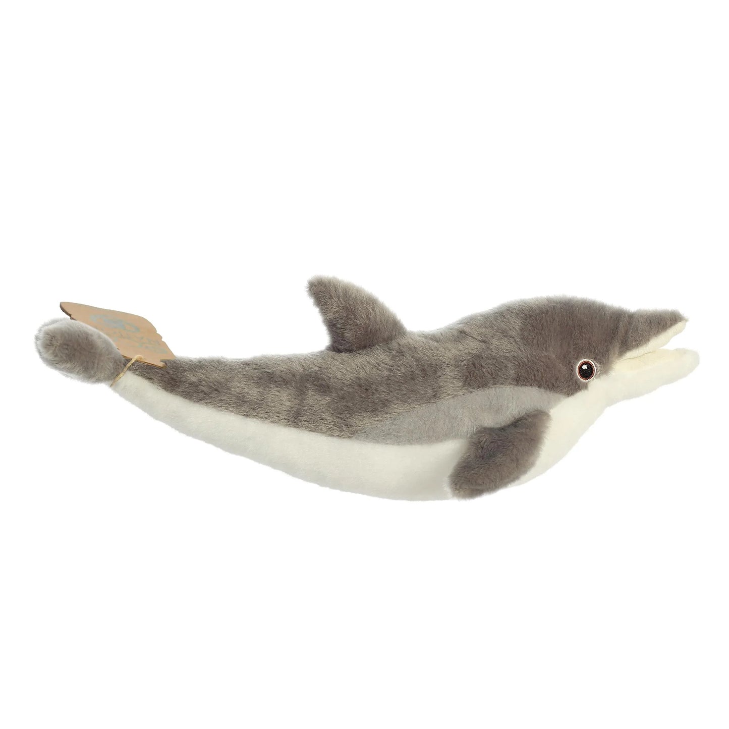 Eco Nation - 15" Dolphin