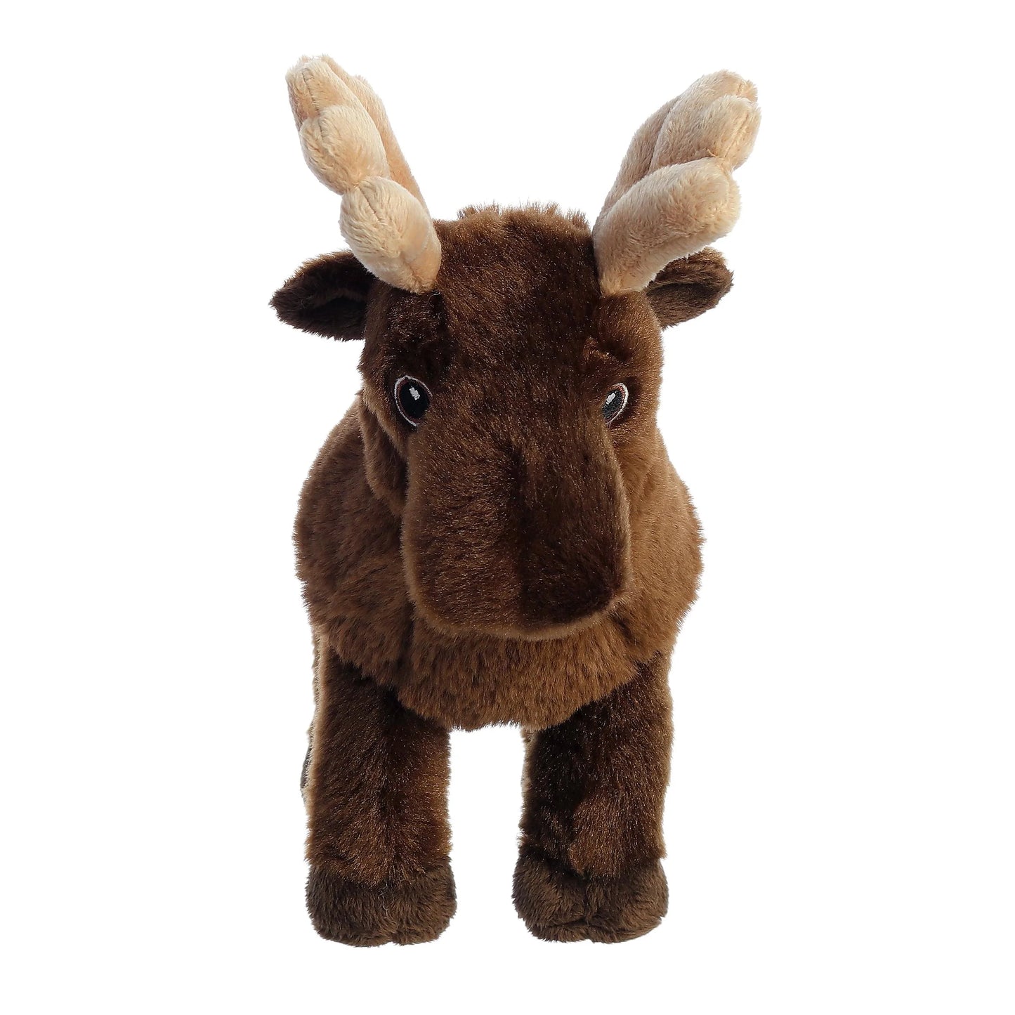 Eco Nation - 10" Moose