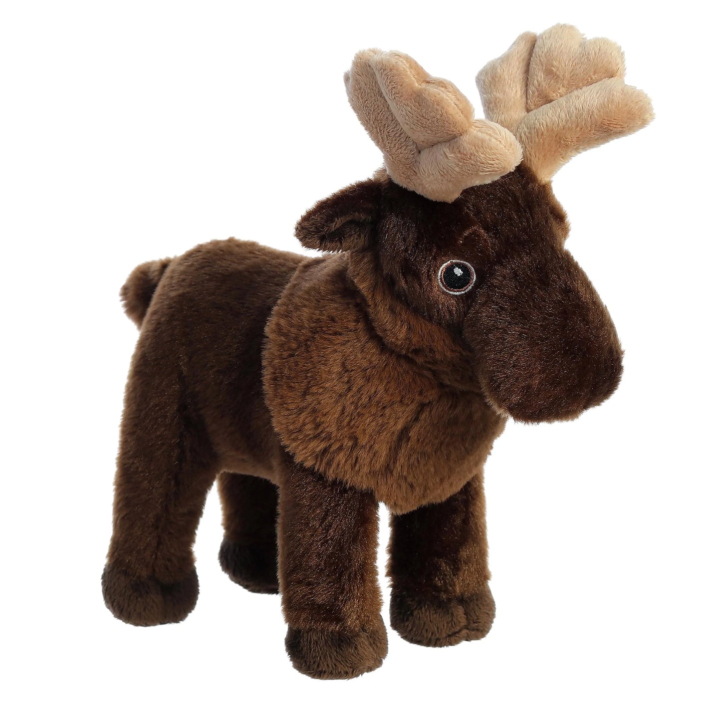 Eco Nation - 10" Moose