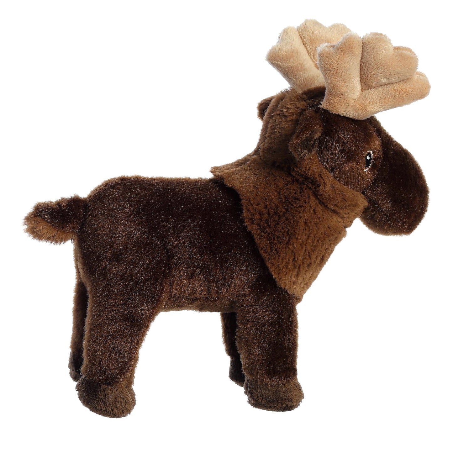 Eco Nation - 10" Moose