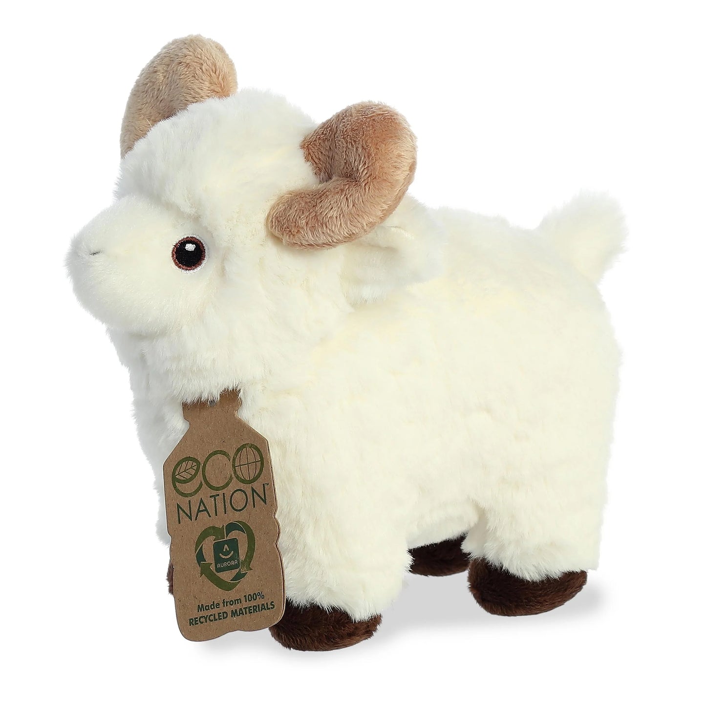 Eco Nation - 8" Ram