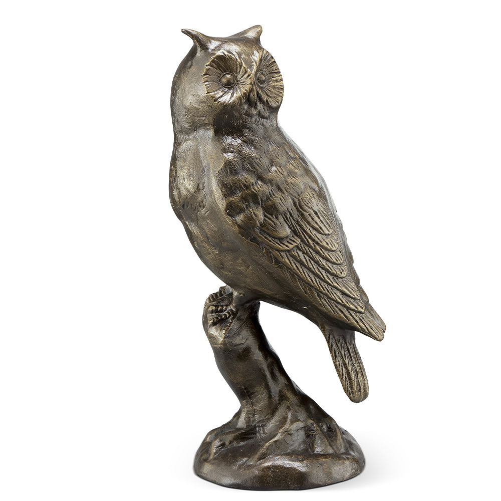 Thoughtful Owl on Branch