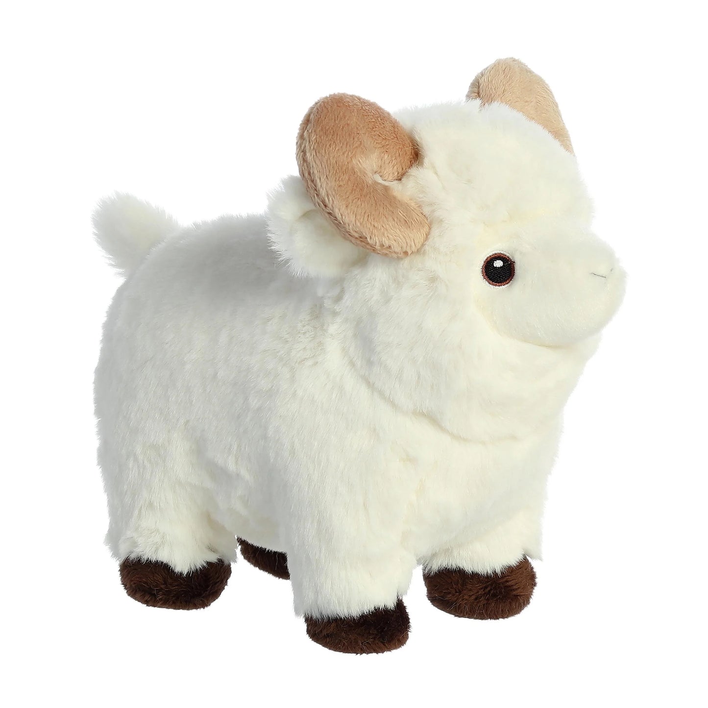 Eco Nation - 8" Ram