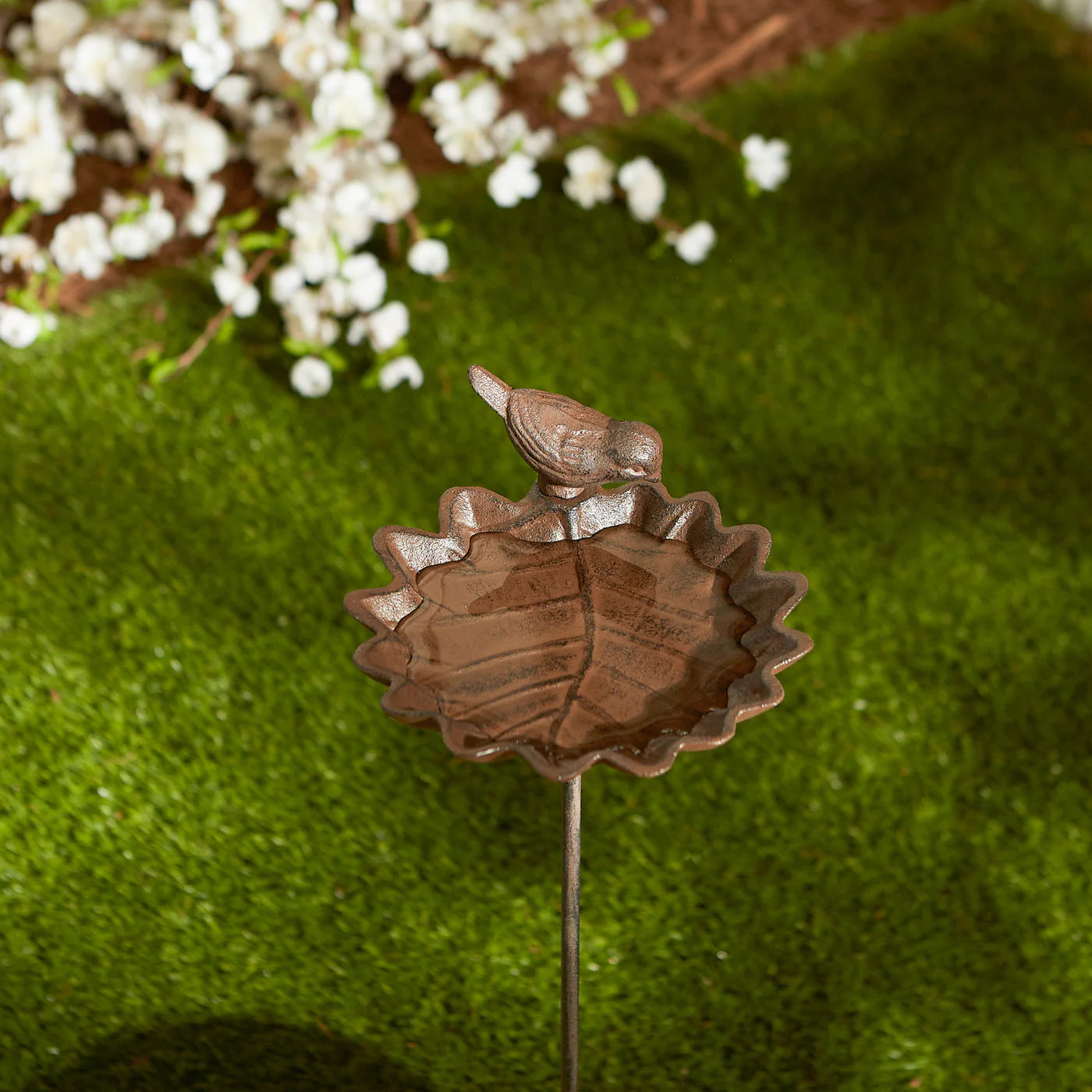 Elm Leaf With Bird Birdbath