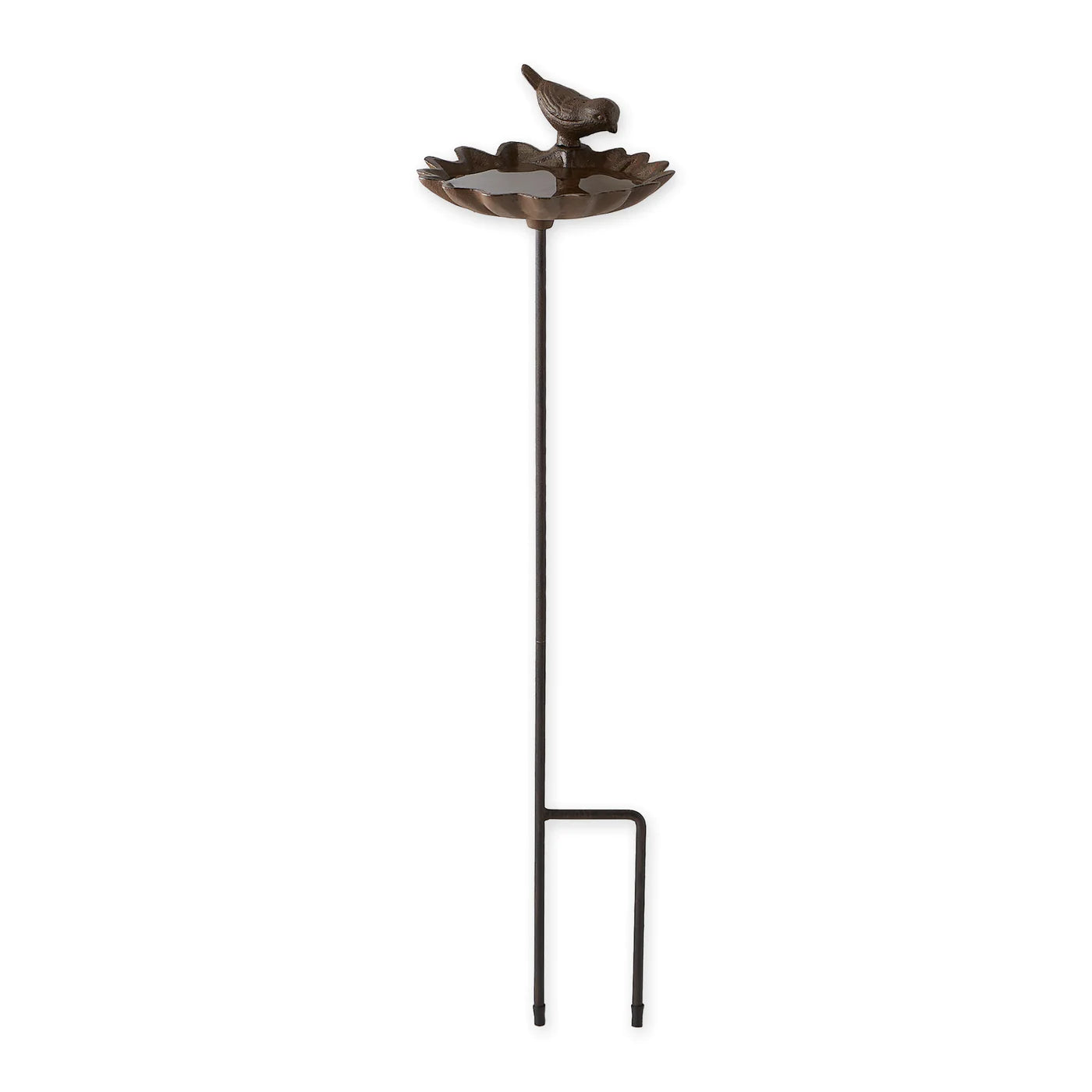 Elm Leaf With Bird Birdbath