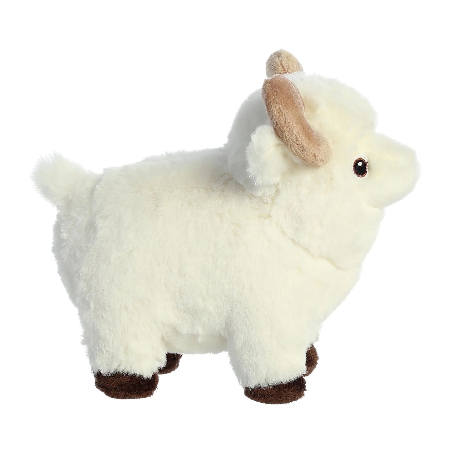 Eco Nation - 8" Ram
