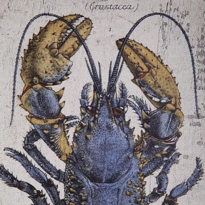 Scientific Blue Lobster Wall Decor