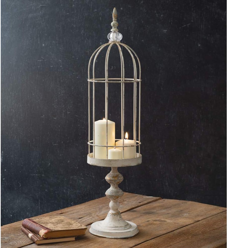 Wire Cloche With Stand