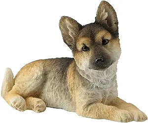 German Shepherd Puppy Sitting And Looking Towards Right