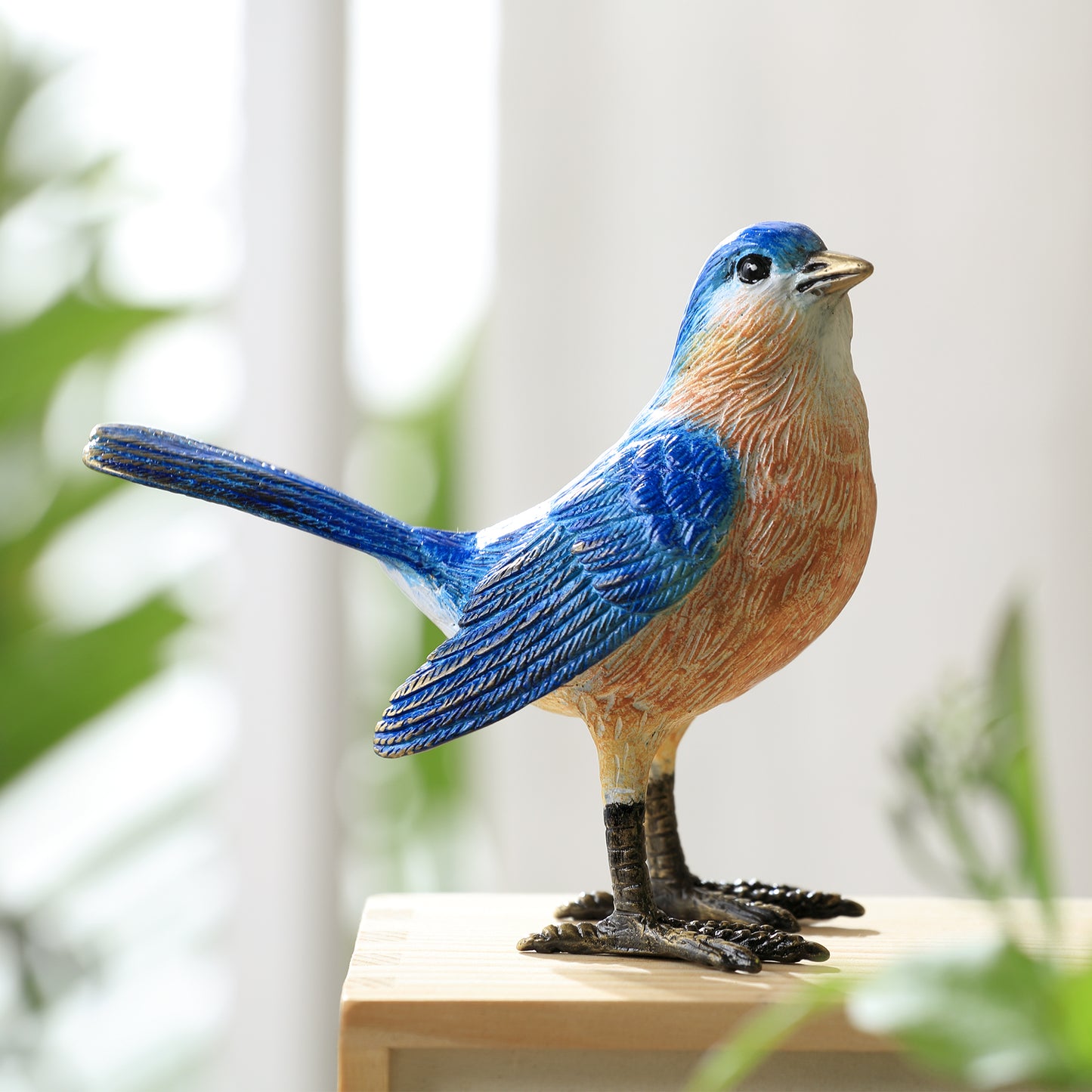 Colorful Western Bluebird