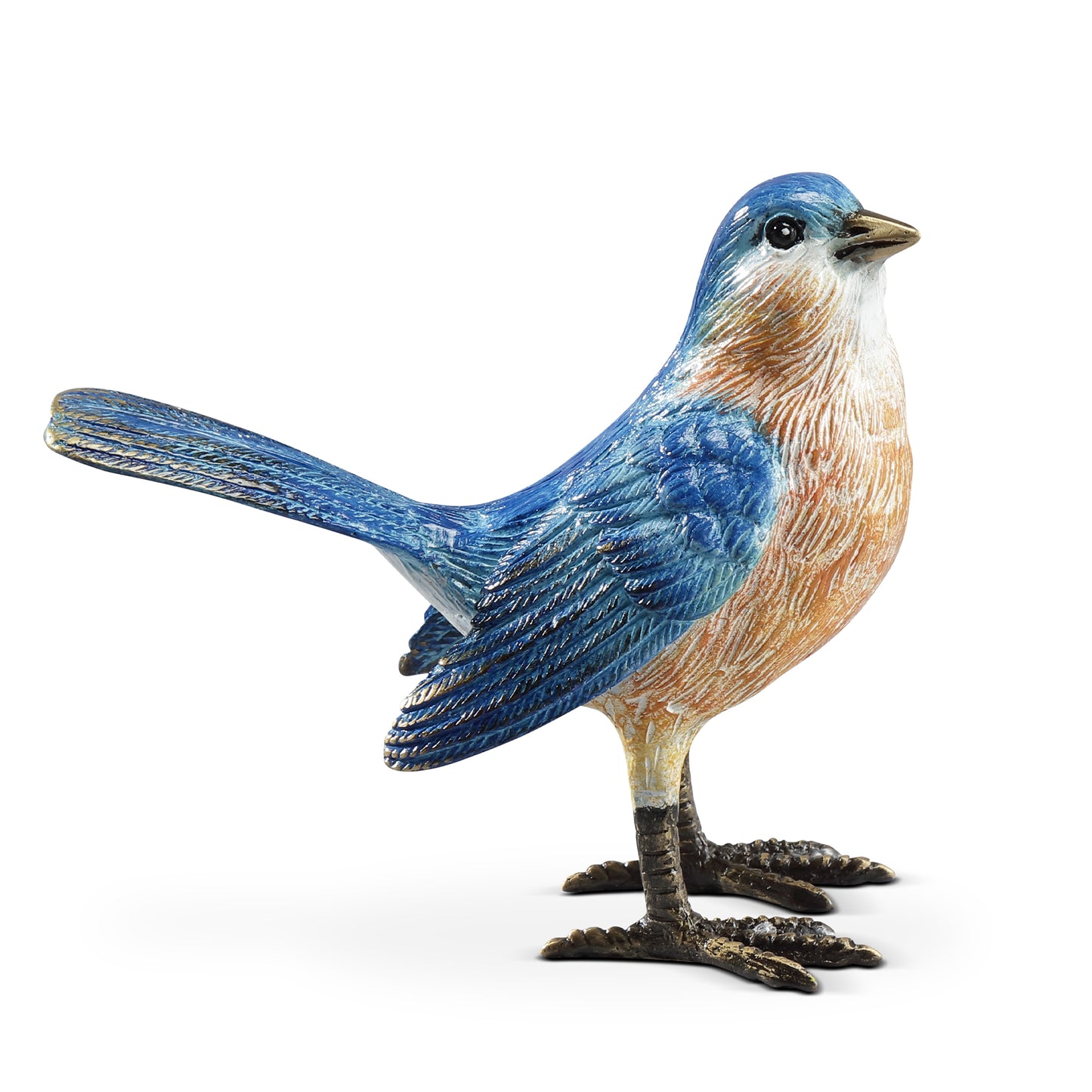 Colorful Western Bluebird